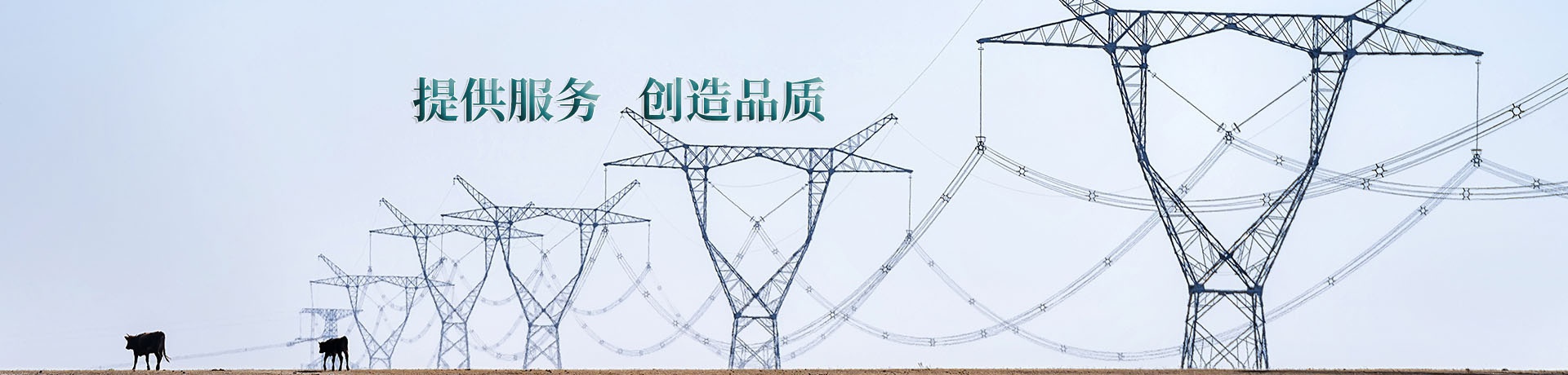 公司介紹